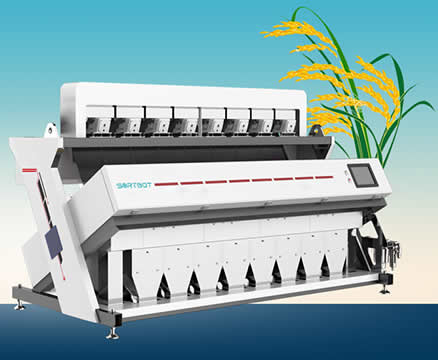 The rice selected by the color selection machine is the reliable rice